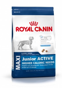 Pienso ROYAL CANIN Maxi Junior Active