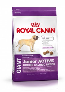 Pienso ROYAL CANIN Giant Junior Active