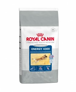 Pienso ROYAL CANIN Energy 4300