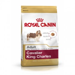 Pienso ROYAL CANIN Cavalier King Charles