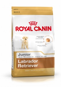 Pienso ROYAL CANIN Labrador Retriever Junior 33