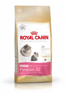 ROYAL CANIN Gatos Kitten Persian 32
