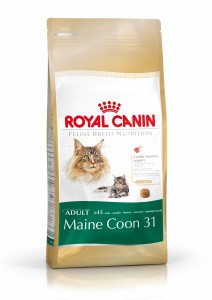 ROYAL CANIN Gatos Maine Coon 31