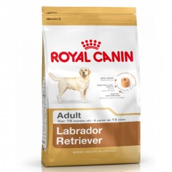 Pienso ROYAL CANIN Labrador Retriever 30