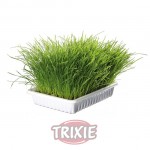 TRIXIE Bandeja hierba para gatos 100 g  