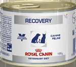 ROYAL CANIN Veterinario Recovery 