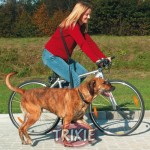 TRIXIE Arnes para Perro y Bici