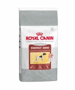 Pienso ROYAL CANIN Energy 4800