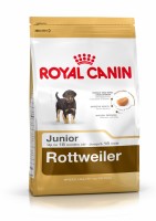 Pienso ROYAL CANIN Rottweiler Junior 31